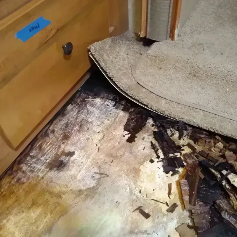 Best Wood Floor Water Damage Service in Port Monmouth, NJ